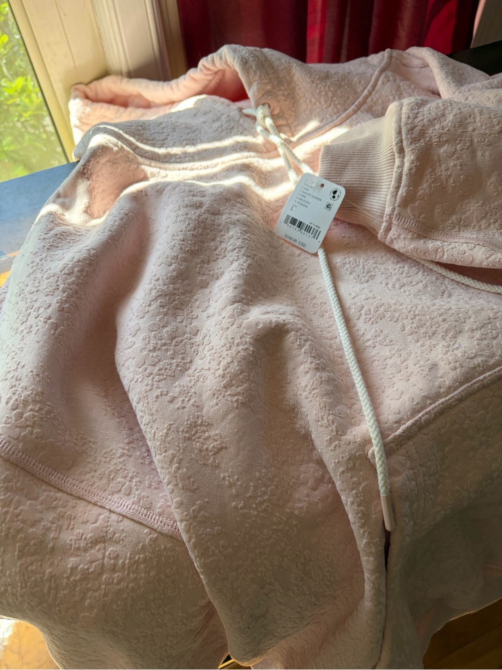 Free People Final Call Flocked Velvet Hoodie - Picture 6 of 8